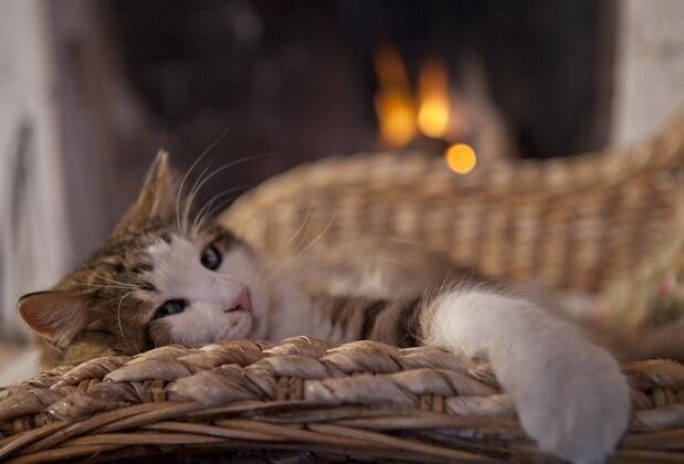 Alaçatı Taş Otel - Görsel 22