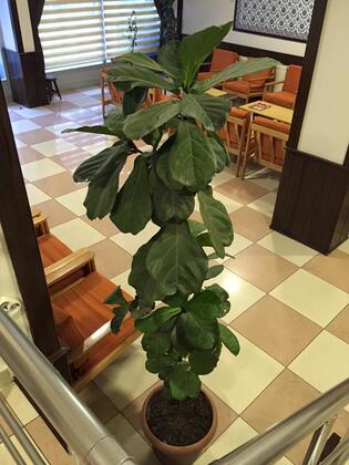 Bey Hotel Konya - Görsel 8