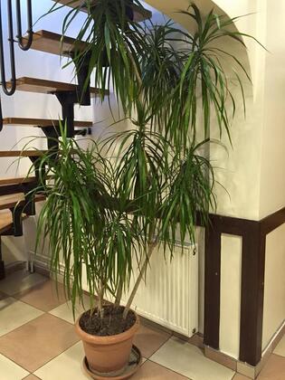 Bey Hotel Konya - Görsel 44