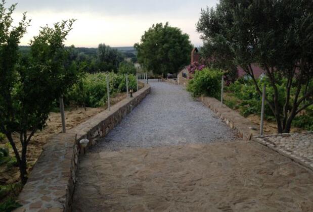 Karadut Bağevi - Görsel 6