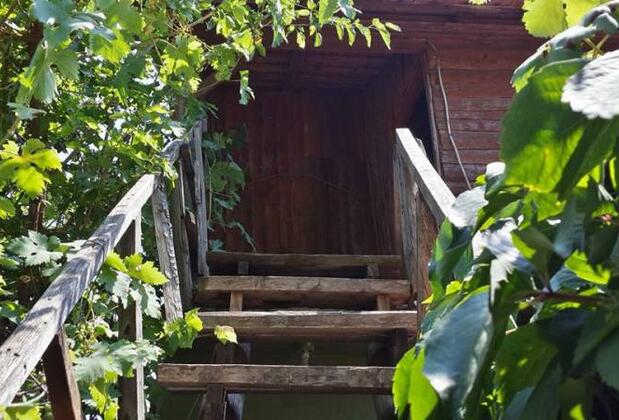 Aşık Pansiyon - Görsel 4