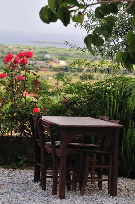 Karadut Bağevi - Görsel 16