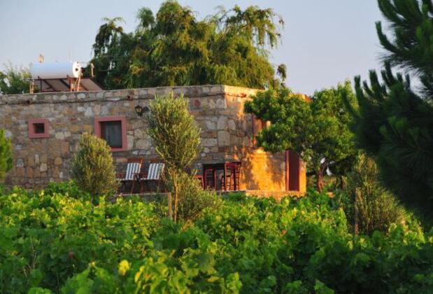 Karadut Bağevi - Görsel 7