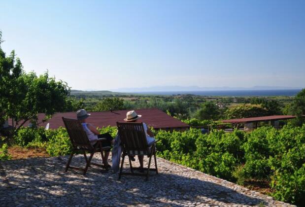 Karadut Bağevi - Görsel 18