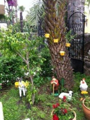 Tropic Marina Apart Hotel - Görsel 10