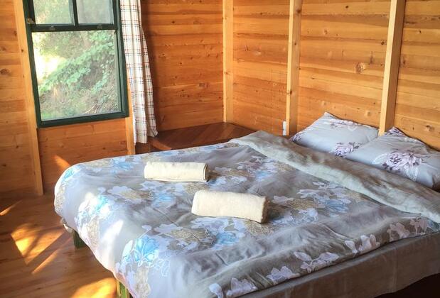 Faralya Botanica Hotel - Görsel 8