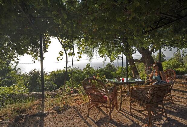 Faralya Botanica Hotel - Görsel 23