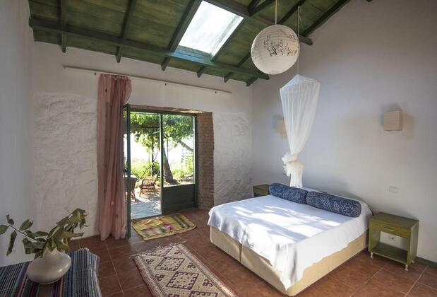 Faralya Botanica Hotel - Görsel 12