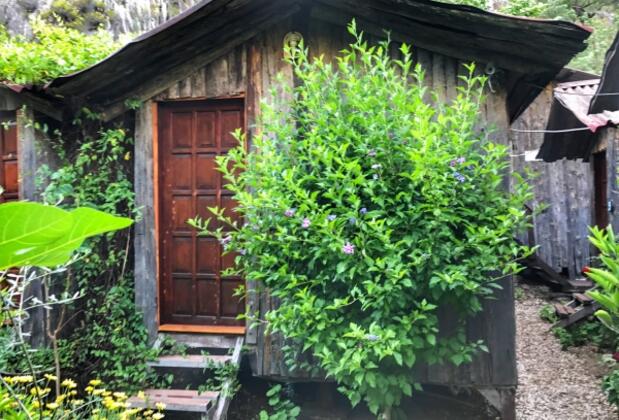 Pehlivan Pansiyon - Görsel 10