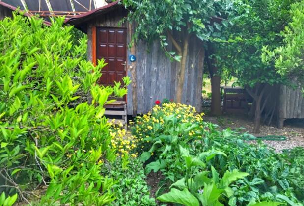 Pehlivan Pansiyon - Görsel 21