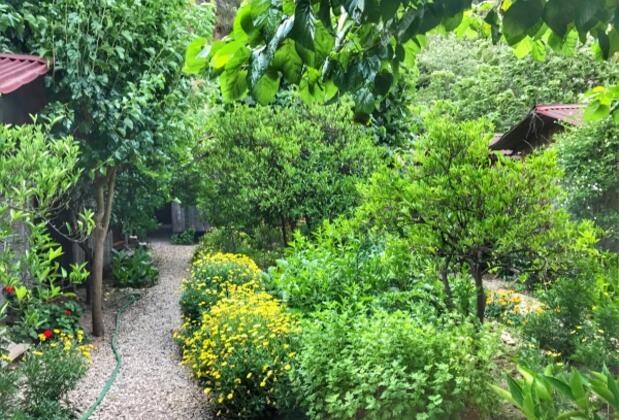 Pehlivan Pansiyon - Görsel 13