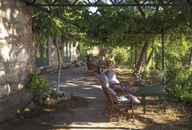 Faralya Botanica Hotel - Görsel 25