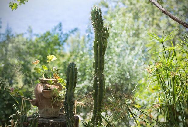 Faralya Botanica Hotel - Görsel 20