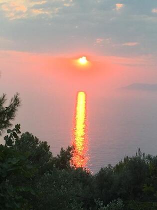 Faralya Botanica Hotel - Görsel 40