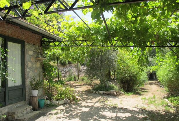 Faralya Botanica Hotel - Görsel 6