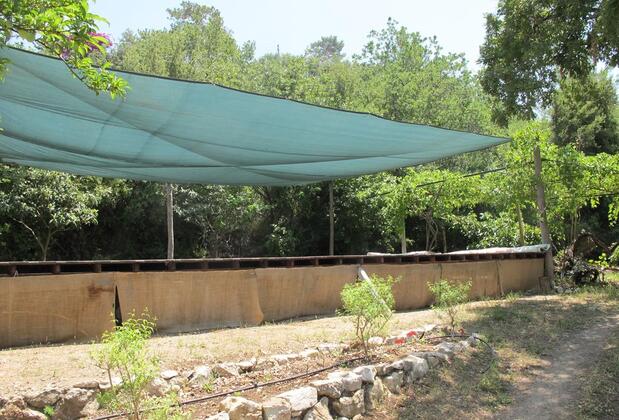 Faralya Botanica Hotel - Görsel 33