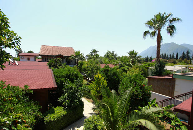 Çıralı Rüya Pansiyon - Görsel 36