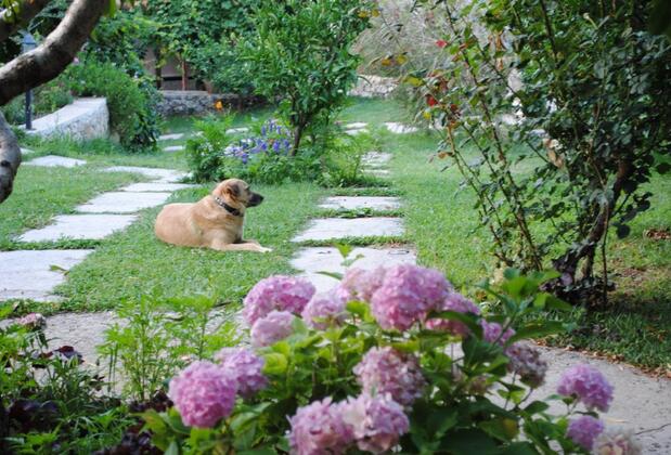 Kleo Evi 3 - Görsel 20