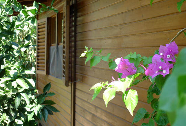 Çıralı Rüya Pansiyon - Görsel 11