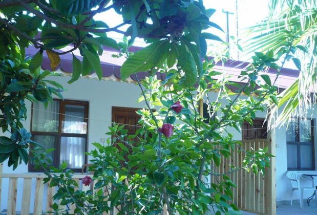 Kıyı Pansiyon - Görsel 14