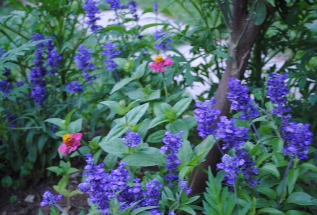 Kleo Evi 5 - Görsel 38