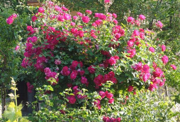 Kleo Evi 5 - Görsel 25