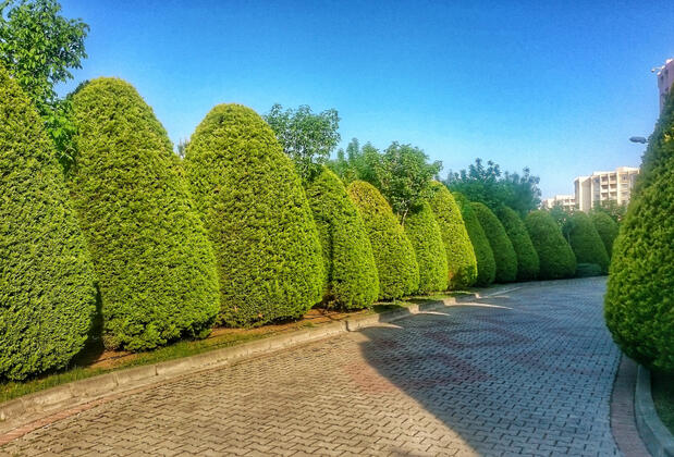 İhlas Armutlu Tatil Köyü - Görsel 5