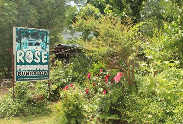 Çıralı Rose Pansiyon Bungalow - Görsel 2