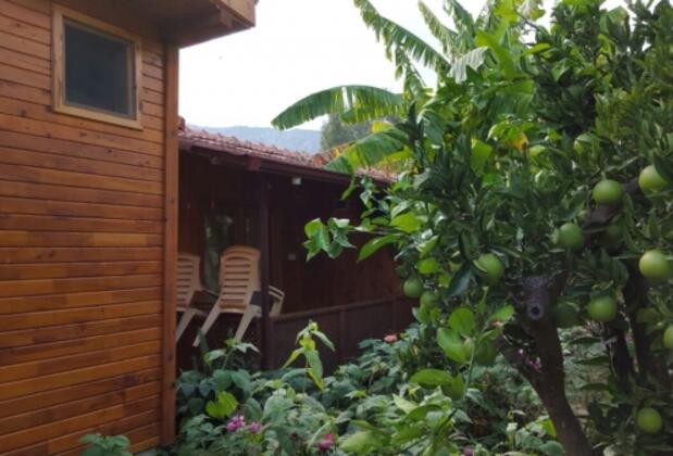 Çıralı Rose Pansiyon Bungalow - Görsel 3