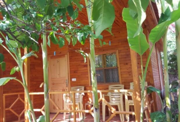 Çıralı Rose Pansiyon Bungalow - Görsel 4