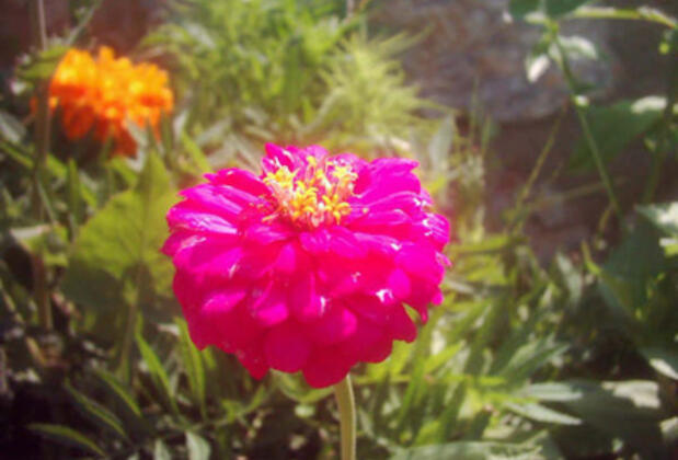 Gültekin Pansiyon & Restaurant - Görsel 22