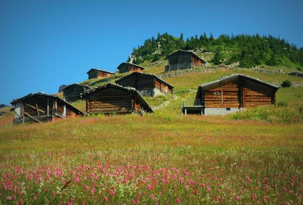 İnan Kardeşler BungaVilla - Görsel 4