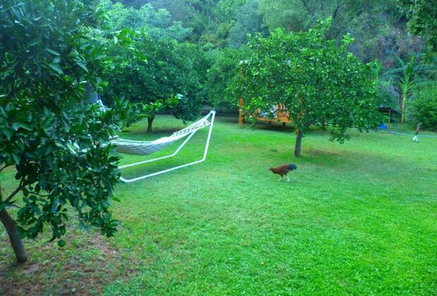 Çıralı Simge Pansiyon - Görsel 5