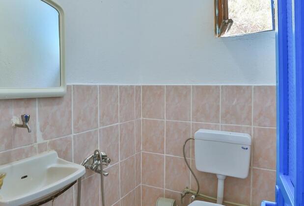 Kaktüs Çakıl - Görsel 10