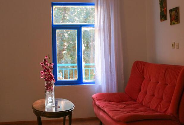 Kaktüs Çakıl - Görsel 3