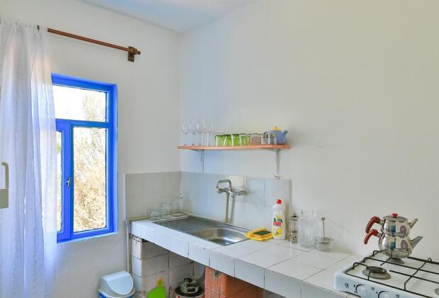 Kaktüs Çakıl - Görsel 12