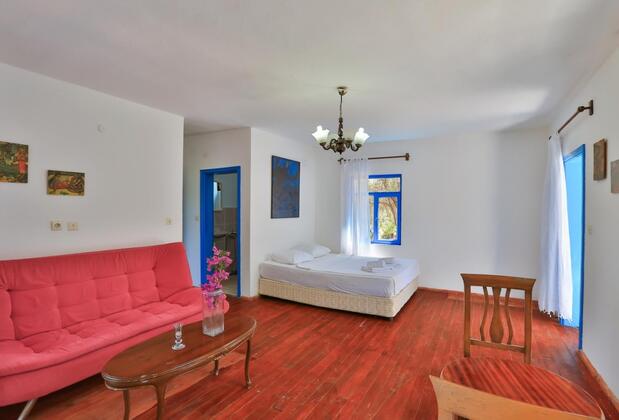 Kaktüs Çakıl - Görsel 9