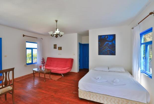 Kaktüs Çakıl - Görsel 4