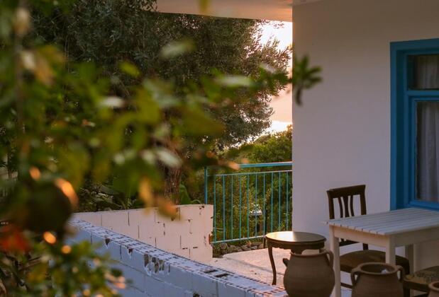 Kaktüs Çakıl - Görsel 5