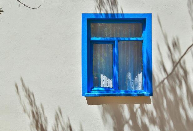 Kaktüs Çakıl - Görsel 13