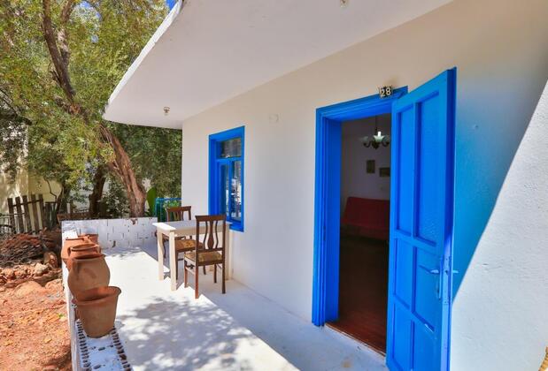 Kaktüs Çakıl - Görsel 11