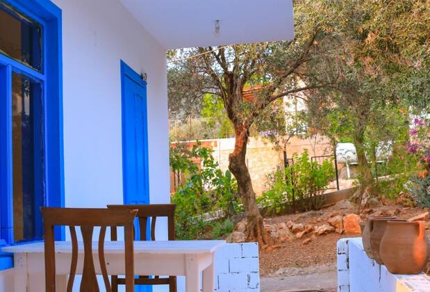 Kaktüs Çakıl - Görsel 16