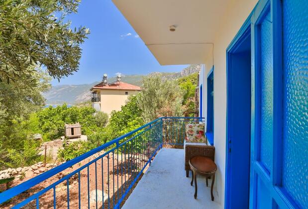 Kaktüs Çakıl - Görsel 6