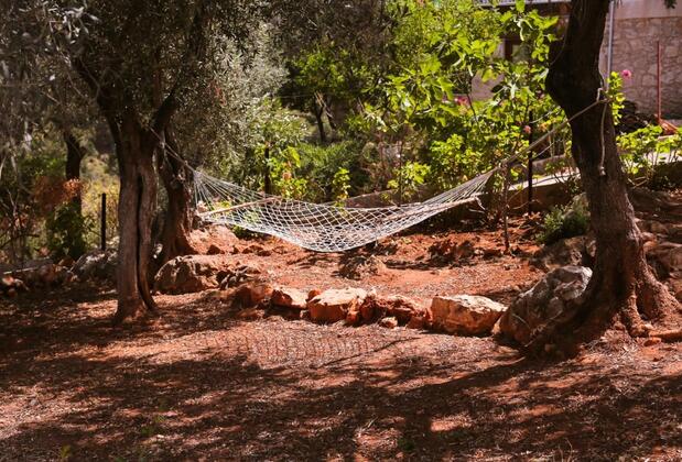 Kaktüs Çakıl - Görsel 7