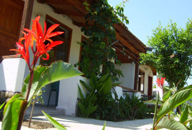 Harun Pansiyon - Görsel 18