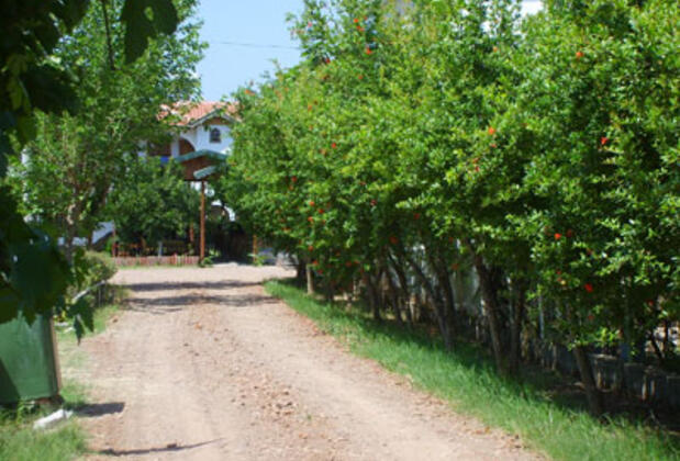 Harun Pansiyon - Görsel 21