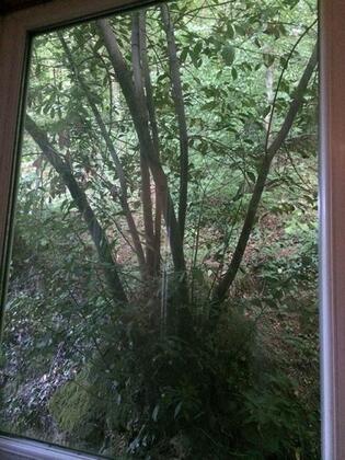 Sapanca Butik Otel - Görsel 6