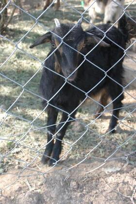 Doğa Şara Butik Hotel - Görsel 14