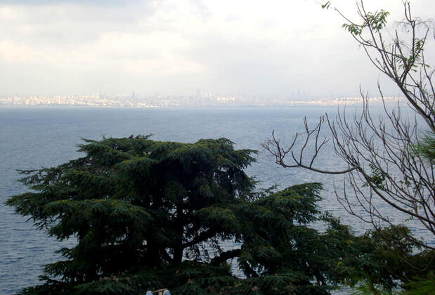 Mehtap 45 Boutique Hotel - Görsel 8