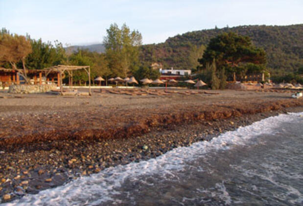 Kumbağ Otel - Görsel 13